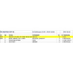 03-08-2010 - Bumblebee-Promotion - amigos charts - oesterreich.jpg